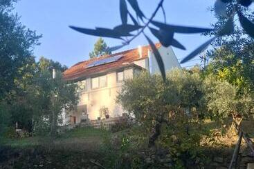 بنسيون Relaxscape