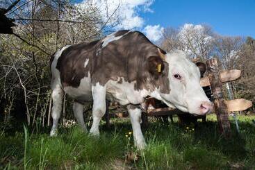 Отель Agriturismo Luloc