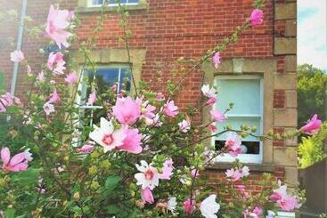 ペンション Bridport Garden Suite