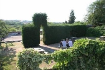 تختخواب و صبحانه The Dog Inn