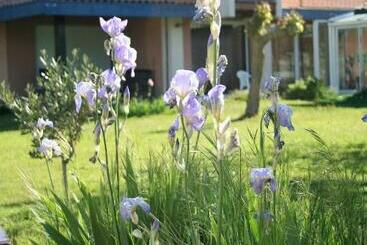 ベッドアンドブレックファースト Villa Helianthe