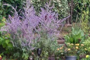 پانسیون Le Jardin De Josseline