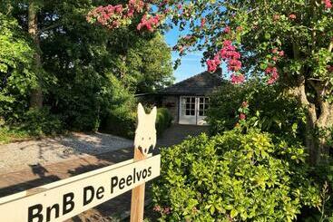 Bed and Breakfast Bnb De Peelvos