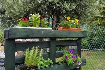 ベッドアンドブレックファースト Casaroman