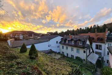 Пансион Apartment Caracalla