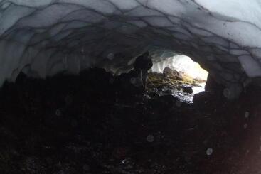 ホテル Gemlufall Guesthouse