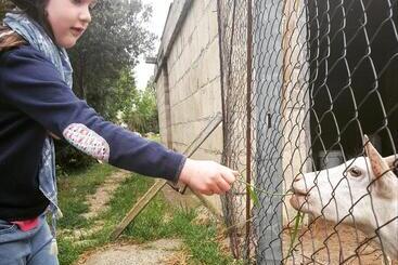 בית מלון כפרי Agriturismo Petra Lucana