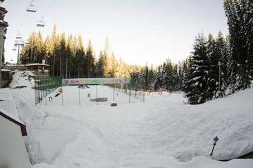 Апарт-отель Complex Kamelia