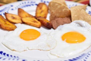 酒店 Hacienda Morelos Beachfront