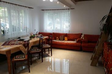 Bed and Breakfast Casa Geanina