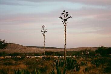 شقة فندقية Mineral Del Cielo