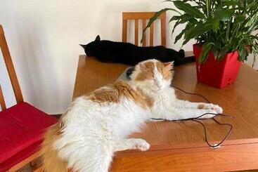 مبيت وإفطار A Casa Di Elena