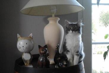 مبيت وإفطار Le Temps D Une Pause