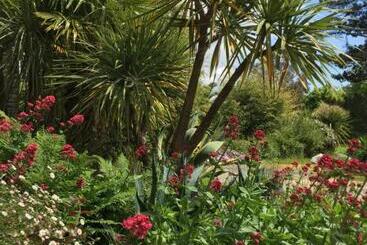 צימר Les 3 Koïs