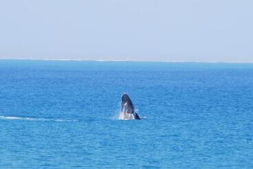 هتل Back Valley Farmstay Bed And Breakfast