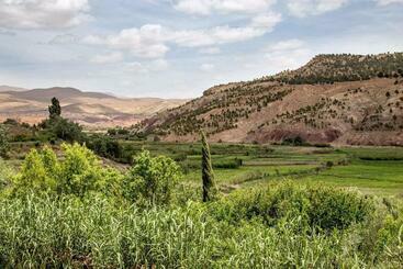 هاستل Le Lion D Or Atlas