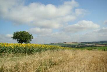 住宿加早餐  Villa Des Marronniers