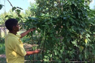 Отель Cozycomo Khonkhan