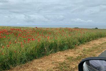 ベッドアンドブレックファースト Villa Omaha