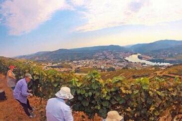 Bed and Breakfast Quinta Pecêga Al