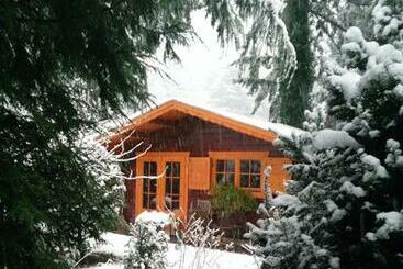 住宿加早餐 Bed En Of Zonder Breakfast Putten