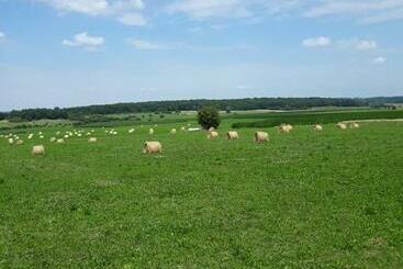 مبيت وإفطار La Fleur Et Le Soleil