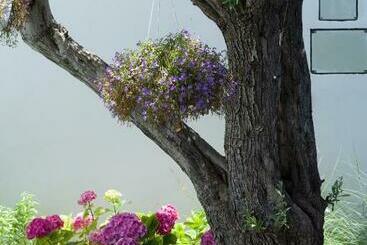 B&b Villa Eraclea
