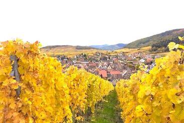 تختخواب و صبحانه Adrihof à Riquewihr, Cour De L Abbaye D Autrey