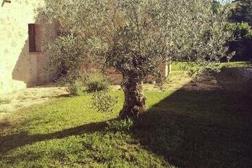 تختخواب و صبحانه Il Casale Dei Nonni