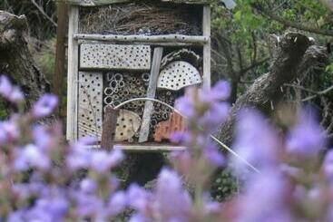 تختخواب و صبحانه Mas De L Ermitage