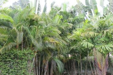 استراحتگاه B&b Forest Hill Khao Yai