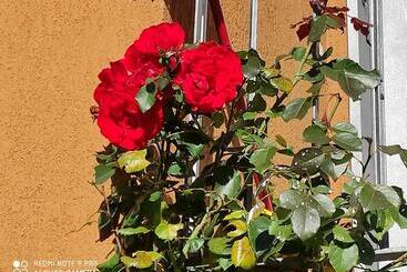 צימר Beb Da Gaia E Giulio