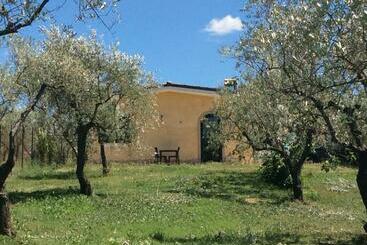 ペンション Il Girasole B&b