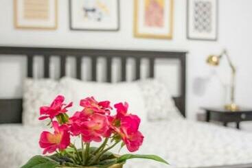 Travel & Live Porto Hostel