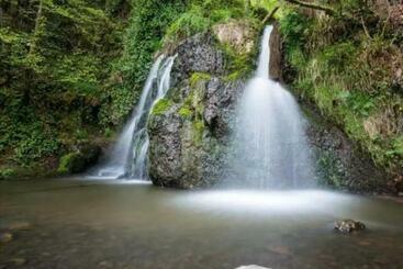 تختخواب و صبحانه Hillhaven Bed &breakfast