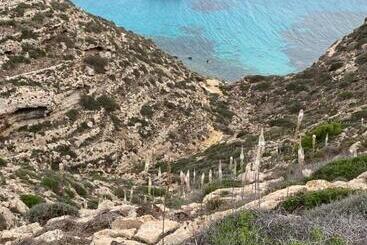 پانسیون Paste&cannola