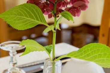 هتل Hôtel Restaurant Les Touristes
