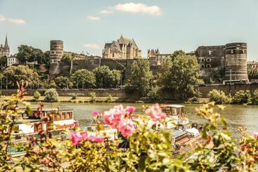 تختخواب و صبحانه La Pause Angevine