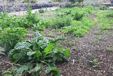 Отель Casa Rural Finca Las Dulces