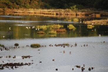 צימר Kerzara   Le Gîte