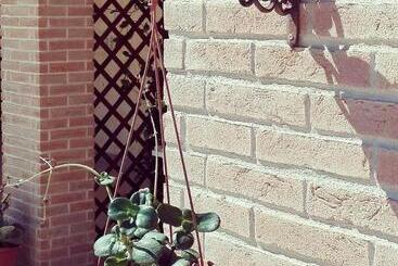 住宿加早餐  Nenna Country