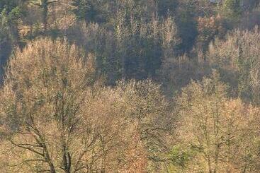 Отель Angolo Del Gelsomino