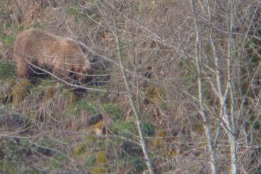 فندق Rural La Pista