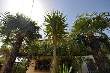 B&b Agave 64