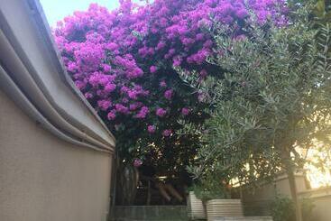 B&b La Bougainvillea