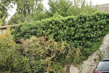 住宿加早餐  Rêve Champenois Chambres D Hôtes