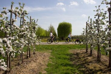 Landidyll Hotel Weidenbrück & Spa