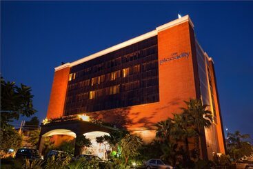 Отель The Piccadily