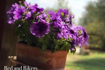 צימר Bed And Bikers