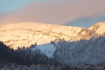 פנסיון Centre Viayoga